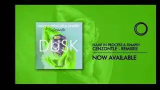 Name In Process & Sinapsy - Cenzontle (Mr Hack Remix)