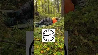 Collect Drinking Water from Thin Air 🌿💧 Bushcraft Survival Hack