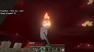 We start the hunting [ Minecraft ] (34)