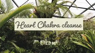 Cleanse heart Chakra | reiki