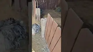 Why I prefer hardware cloth over chicken wire.