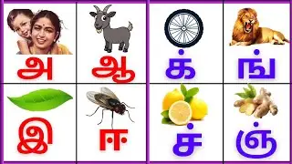 அஆஇஈ/க்ங்ச்ஞ்/Uyireluthukkal/Meieluthukkal/Tamil alphabets for kids 
