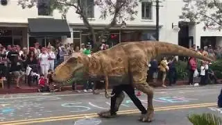 Santa Barbara Summer Solstice Parade 2018