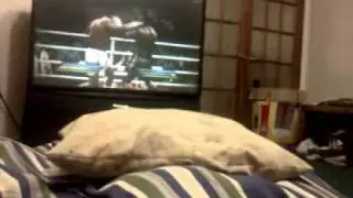 Fight Night Round 4 gameplay