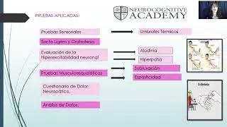 Dolor de hombro hemipléjico: evidencia de origen neuropático