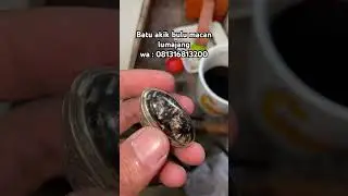Batu akik bulu macan lumajang #akik #jewelry #batukalimayakristal #gemstone #batumewah #ring #fyp