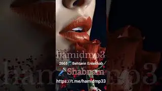 #musicmp3