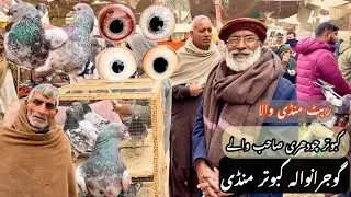 Gujranwala kabootar mandi گوجرانوالہ کبوتر منڈی