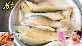 Mahashair machi ka shukar | Hunting of mountain water fish | hunting and frying fish 
