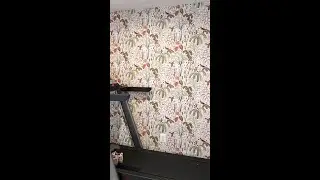 3 Home Gym Wallpaper Ideas to Inspire Your 2026 Reset