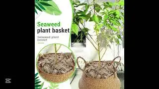 &ldquo;Transform Your Home with This Woven Seagrass Basket!&rdquo;