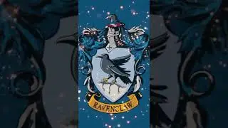 Hogwarts Houses #hogwarts#slytherin#gryffindor#hufflepuff#ravenclaw#harrypotter#shorts#youtubeshorts