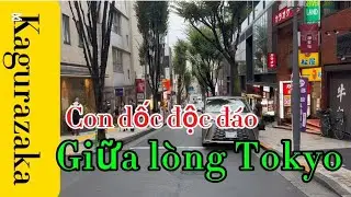 Con dốc độc đáo giữa lòng Tokyo 