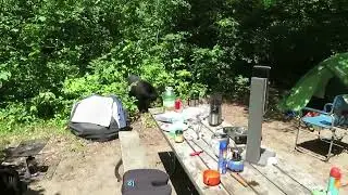 GRUNDY LAKE PROVINCIAL PARK, ONTARIO: A BEAR ATE MY BREAKFAST!