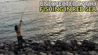 EP04 - FISHING in Red Sea Saudi Arabia : UNEXPECTED CATCH | New Corniche, Jeddah KSA