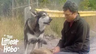 The Defector | The Littlest Hobo | Season 1 | Episode 4