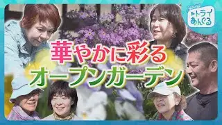 【芦屋オープンガーデン2025】あしやトライあんぐる2025年4月後半号