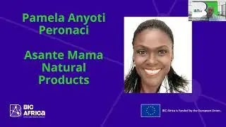 BIC Africa Dialogue with African Diaspora Entrepreneurs in the Food Sector Webinar