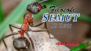 Filosofi Semut (Subtitle Indonesia) JIM ROHN