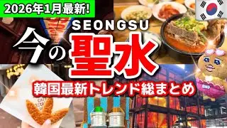 【冬の韓国ソウル旅行】今のソウル聖水に話題の最新スポットモデルコース‼️韓国ブランド勢揃い🇰🇷聖水洞 ソンスドン