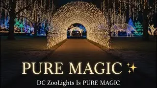 DC ZooLights Is PURE MAGIC ✨ (Washington, DC)