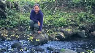 A Day in the Woods: Fish Habitat Protection
