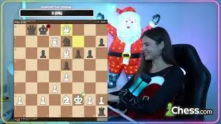 New Year's Chess Celebration!