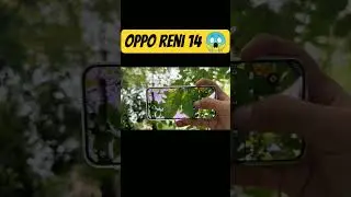 OPPO Reno 14 Pro Camera Test &ndash; Is It the New Mid-Range King? 📸🔥