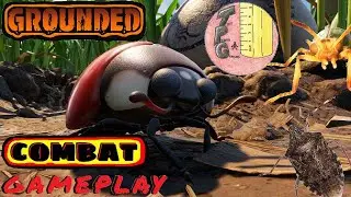 Grounded Combat - Ladybug, Stinkbug, Bonbardier Beetle - Bug Bashing Music Video