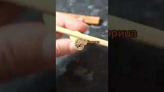 Как отличить корицу от кассии?
