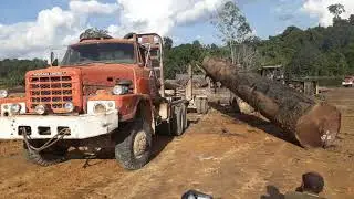 Operator Wheel Loader Andalan