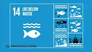 Keep Pinellas Beautiful Public Service Announcement