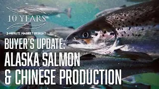 3MMI - Buyers Update: Alaska Salmon and China Production