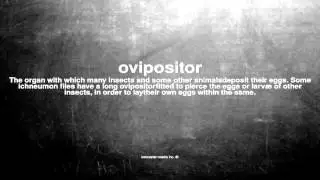 What does ovipositor mean