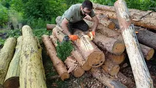 Logs are cleared for construction of a log cabin. ( 5.0 ) One Man Traditional Log Cabin series