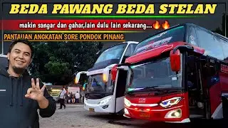 TAMPILAN TERBARU STJ SAGHARA MAKIN MBOIZZ DENGAN FHONT BARU FULL ACC..😱👌