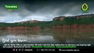 Chilojo Cliffs Gonarezhou National Park Zimbabwe