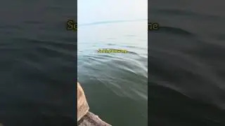 Addicted to #relatable #shorts #mother #nature #women #canoes #trending #shortvideo