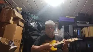 Andrew Jerman 5-string electric mandolin