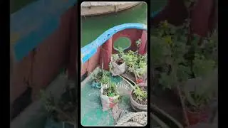 Daily vlog Assam#treefrogs #subscribe #vairal