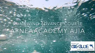 【SKINDIVING 】《Advances Course ,APNEAACADEMY AJIA 》スキンダイビング アドバンス講習