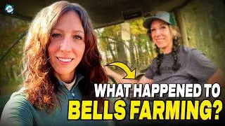 Что случилось с YouTube-каналом Bells Farming?