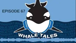 Whale Tales Podcast Episode 067: Orca Month - Old Tom
