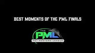 PML Finals Matches Best Clips! - Season 3 - Competitive Pet Battle PvP Tournament