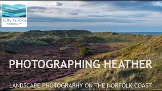 PHOTOGRAPHING HEATHER - Landscape Photography on the Norfolk Coast