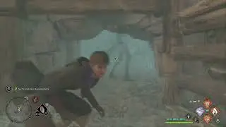 Hogwarts Legacy Funny Bug