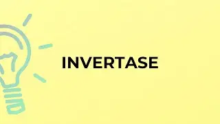 What is the meaning of the word INVERTASE?