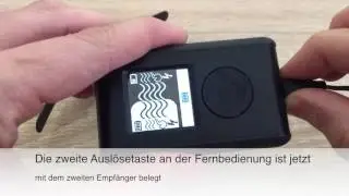 Golden Contact Ferntrainer E1 -- Betrieb mit zwei Empf&auml;ngern (Zweihundbetrieb)