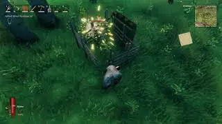 Taming a greyling
