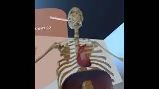 Education in the metaverse - Unity VR Multiplayer